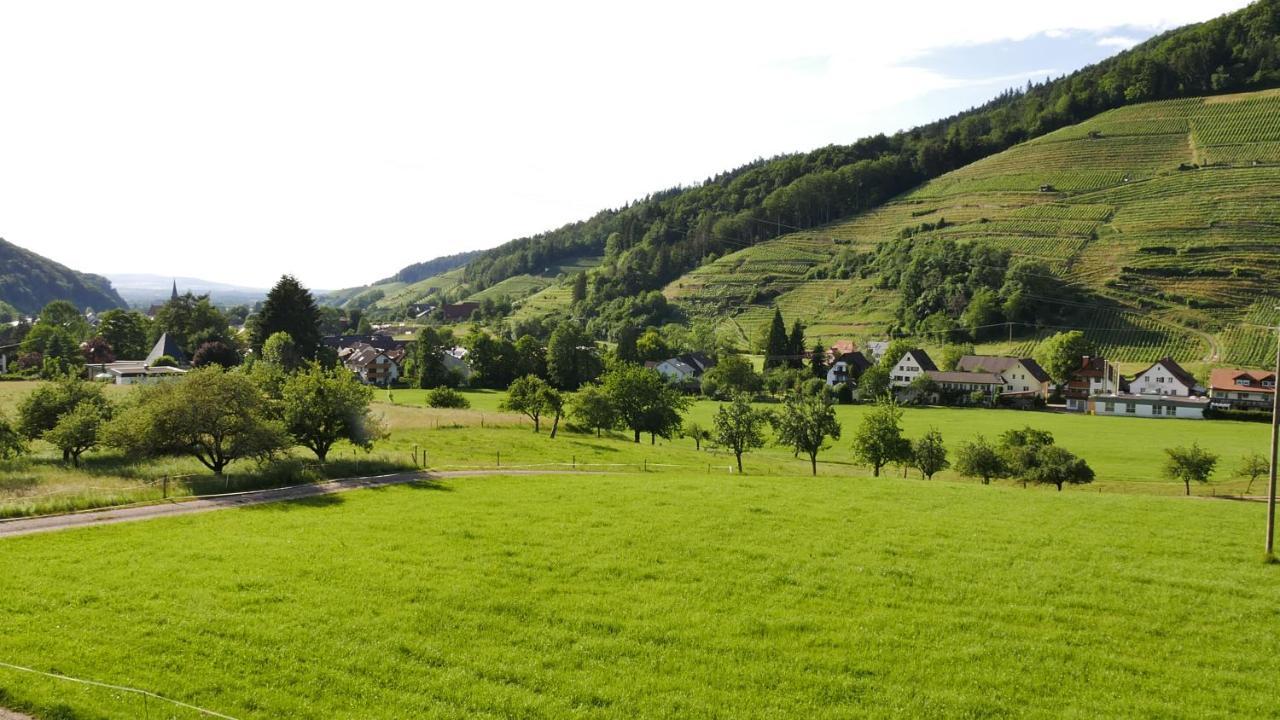 Tobererhof Appartement Glottertal Buitenkant foto