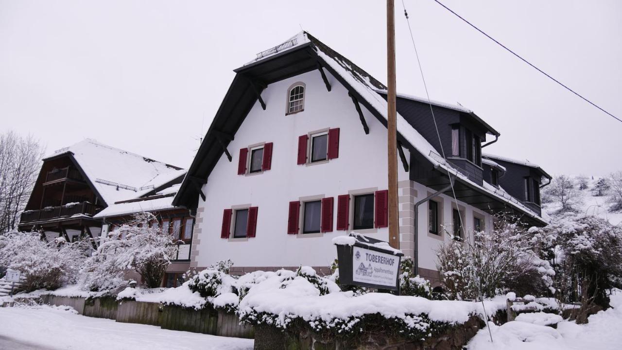 Tobererhof Appartement Glottertal Buitenkant foto